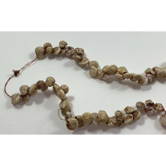 Natural Shell Long Beaded Necklace Sea Snail Beach Island Tiki Mermaid Costume - Picture 6 of 8